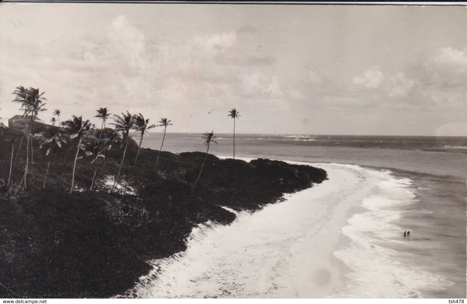 BARBADOS---RARE--TRINIDAD  ?--carte-photo-----voir 2 Scans - Barbades