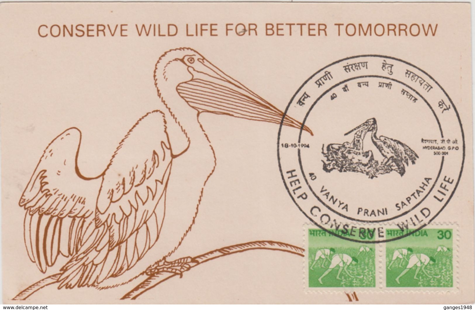 India  1994  Birds  Conserve Wild Life  HYDERABAD Special Card # 89450  Inde Indien - Cranes And Other Gruiformes