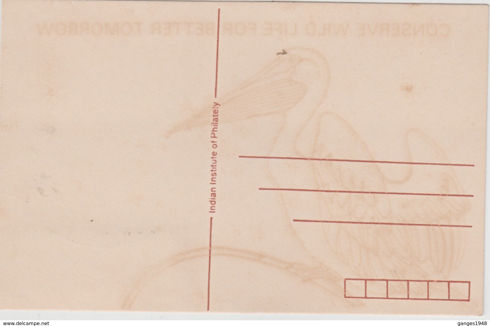 India  1994  Birds  Conserve Wild Life  HYDERABAD Special Card # 89450  Inde Indien - Cranes And Other Gruiformes