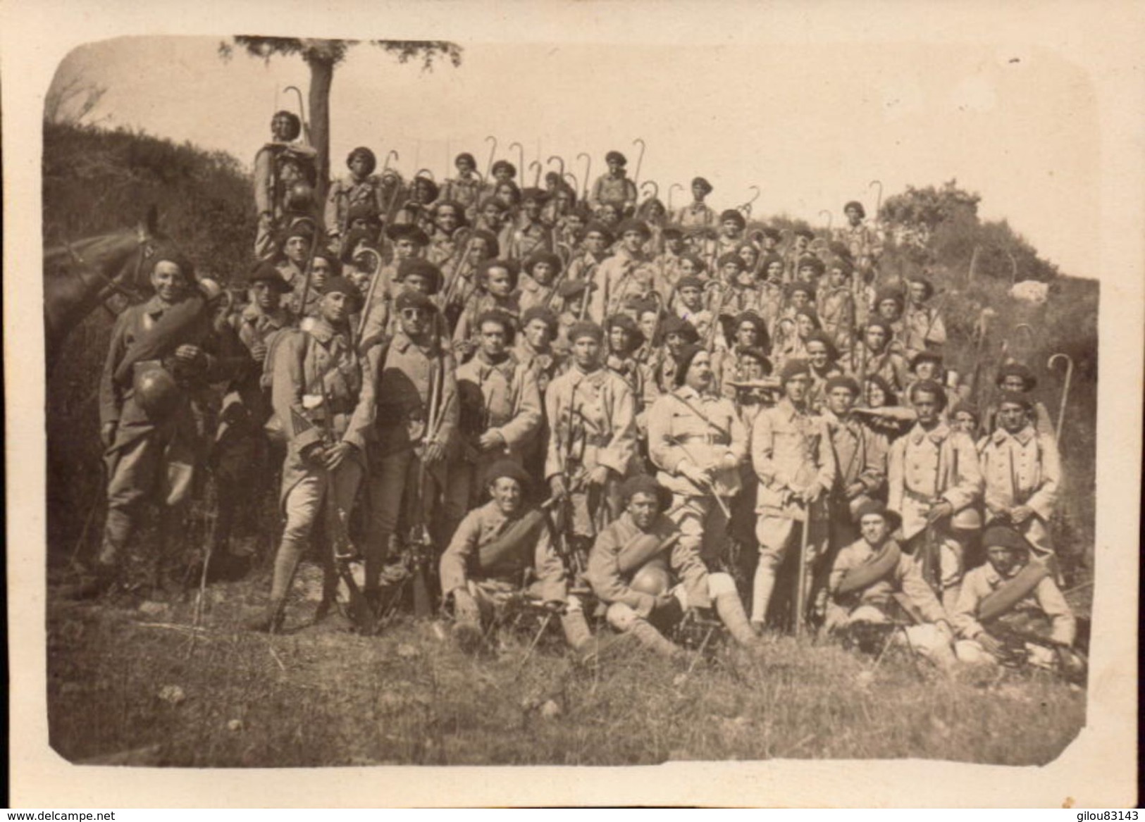 Chasseurs Alpins,  Photo Groupe   (bon Etat)  Dim: 11 X 8. - Guerre, Militaire