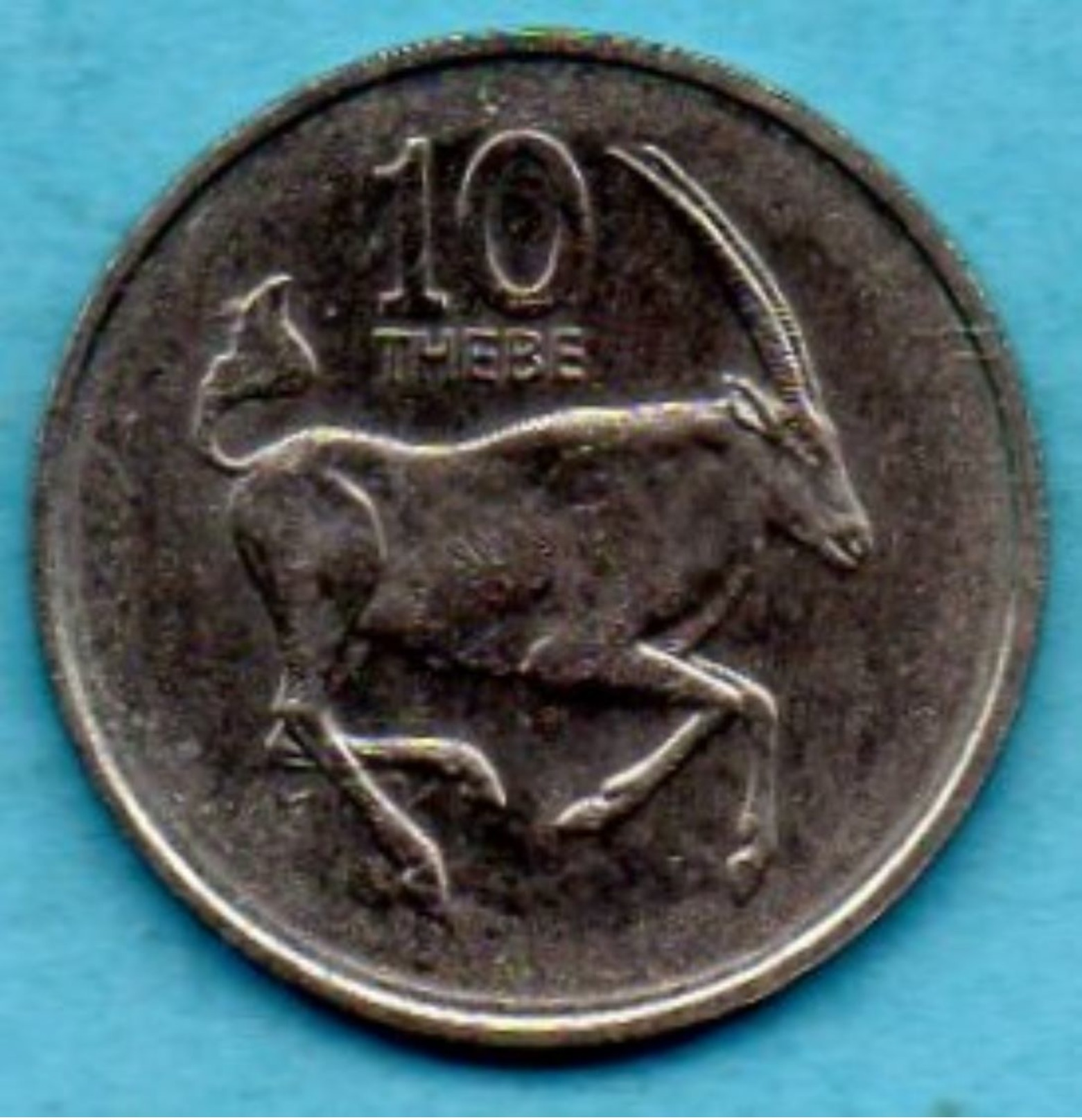 C5/ BOTSWANA 10 THEBE 1984 - Botswana