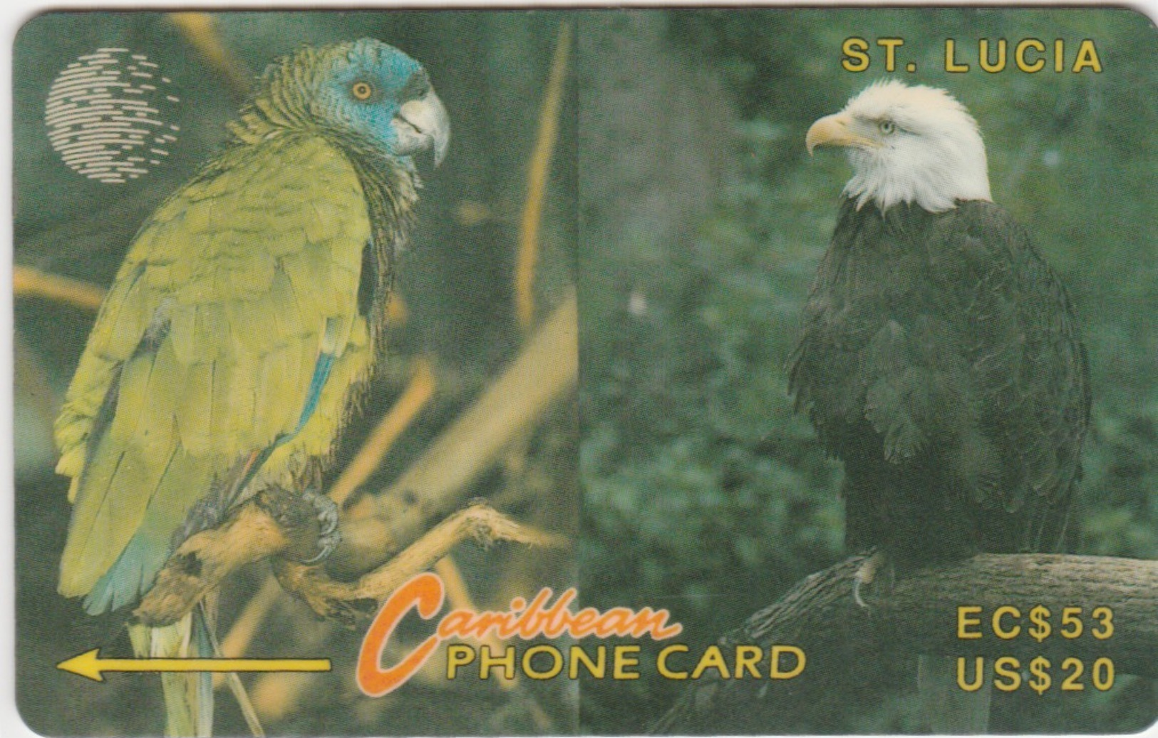 St Lucia : SLT-14E  . PARROT & EAGLE  . - Sainte Lucie