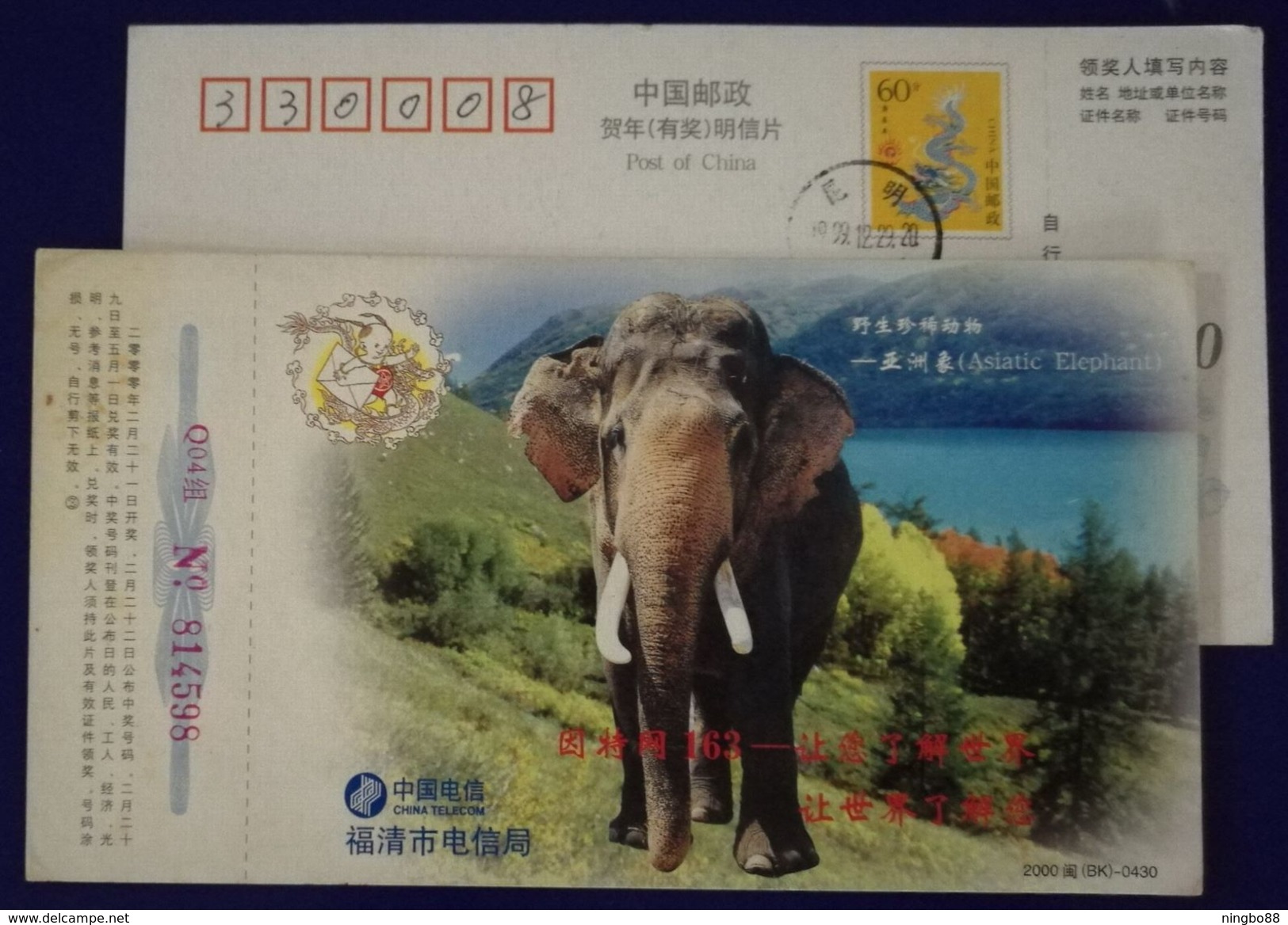 China 2000 Fuqing Telecom New Year Greeting Pre-stamped Card Rare Asiatic Elephant - Elephants