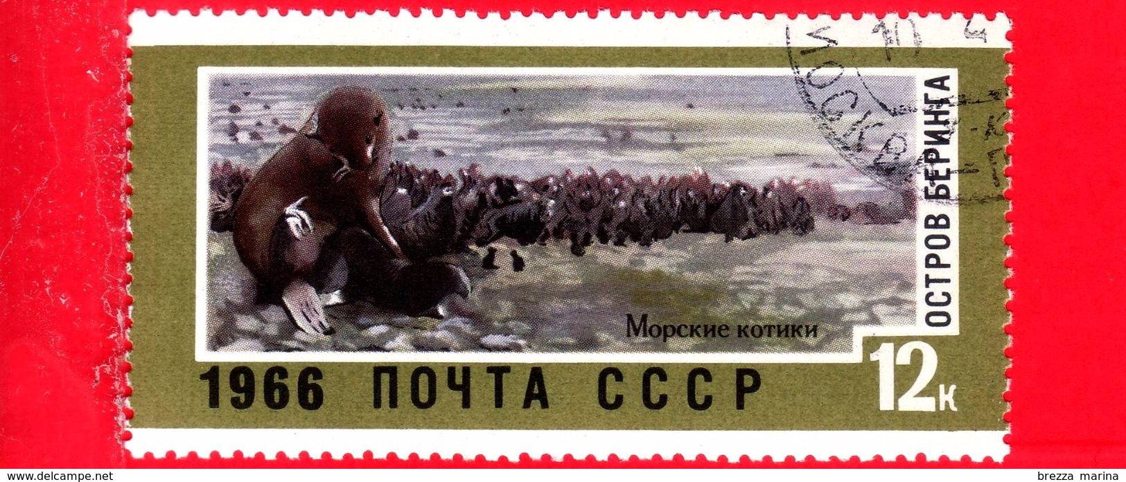 Nuovo - Oblit. - RUSSIA - 1966 - Territori Sovietici Dell'estremo Oriente - Isole Bering - Callorino Dell'Alaska - 12 - Sibirien Und Fernost