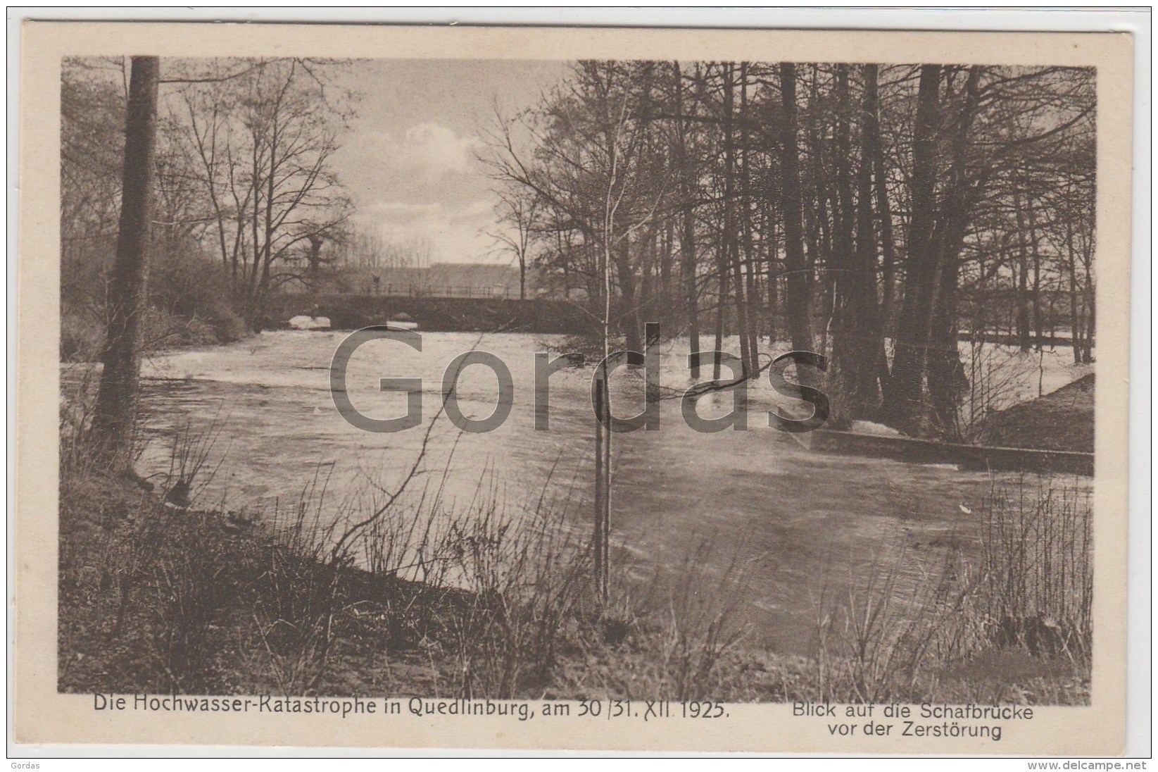 Germany - Quedlinburg - Die Hochwasser - Katastrophe - 1925 - Quedlinburg