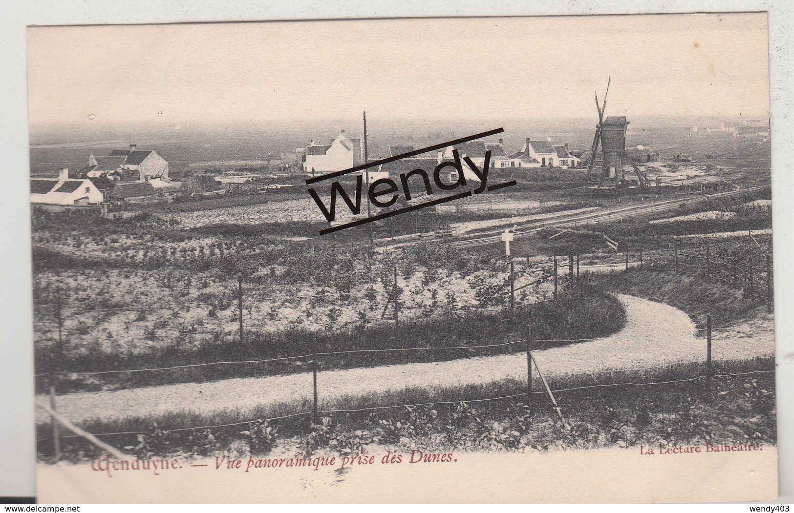 Wenduine (twee Kaarten - Windmolen En Station) - Wenduine