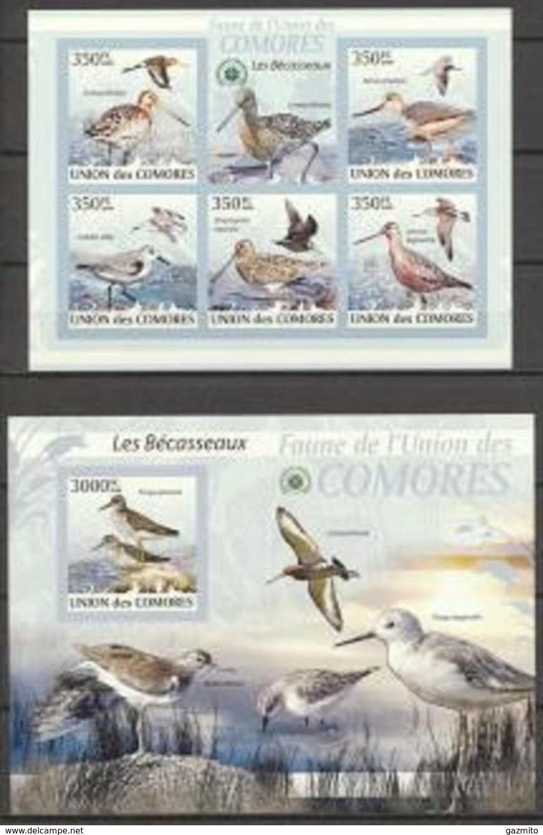 Comores 2009, Animals, Birds Sandpipers, 5val In BF +BF IMPERFORATED - Albatros