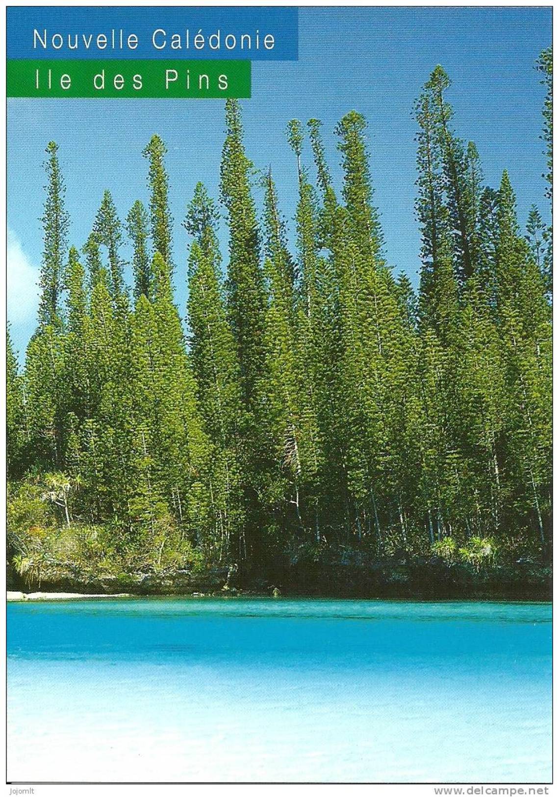 Nouvelle Calédonie New Caledonia (O) CPM Neuve Unused Postcard Paysage Landscape ILE DES PINS Editions SOLARIS N° 2507 - Nouvelle-Calédonie