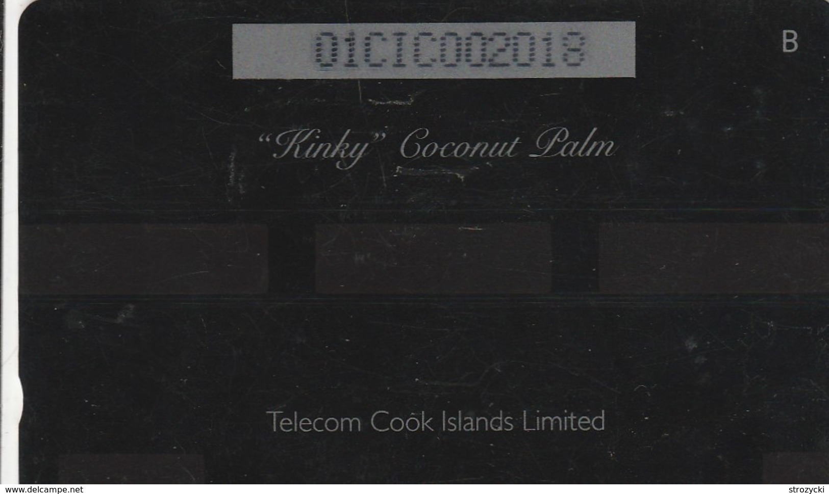 Cook Islands - "Kinky" Coconut Palm - 01CIC - Cook Islands