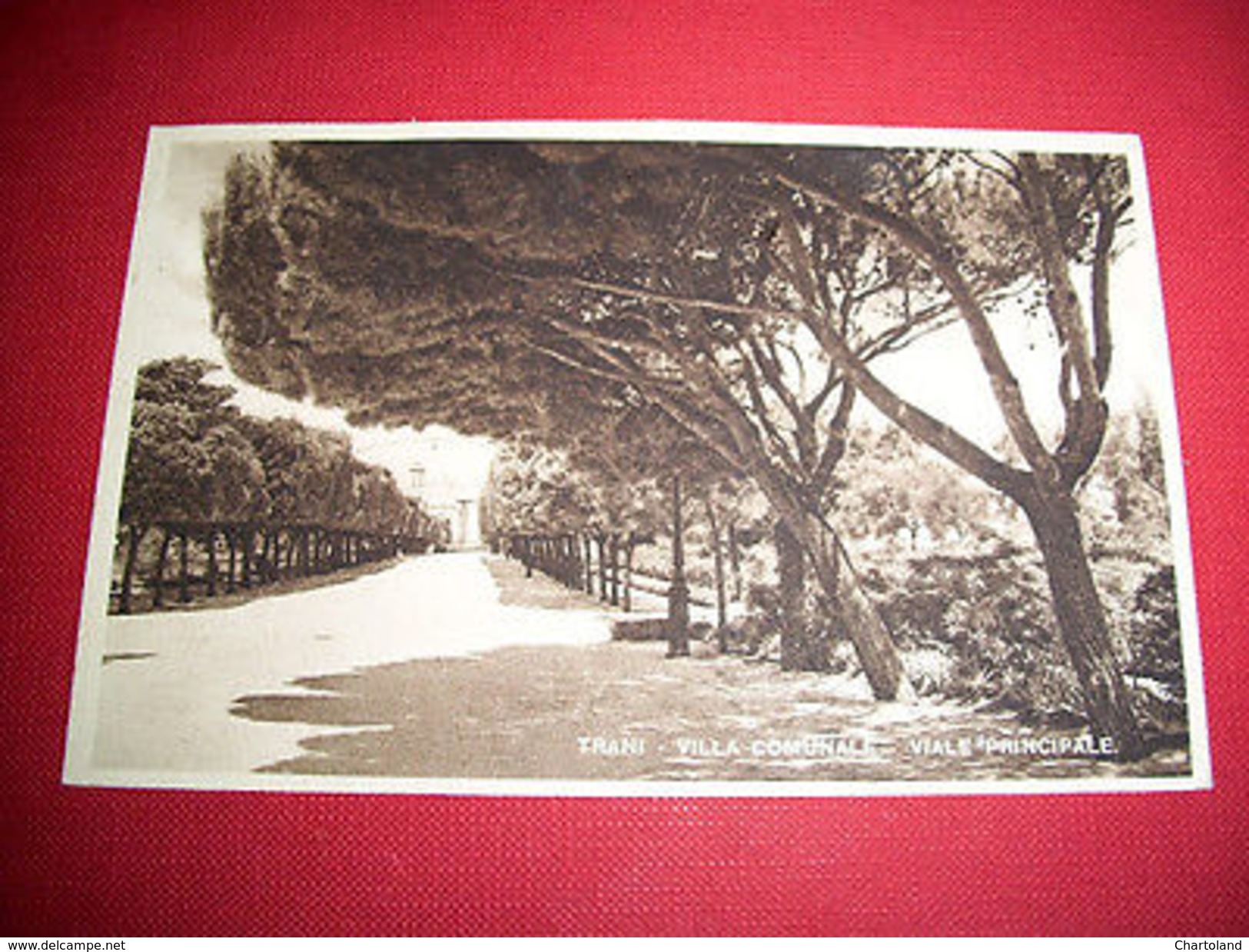 Cartolina Trani - Viale Della Villa Comunale 1930 Ca - Bari