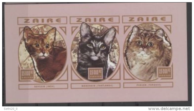 Zaire Cats Chat Imperf - Hauskatzen