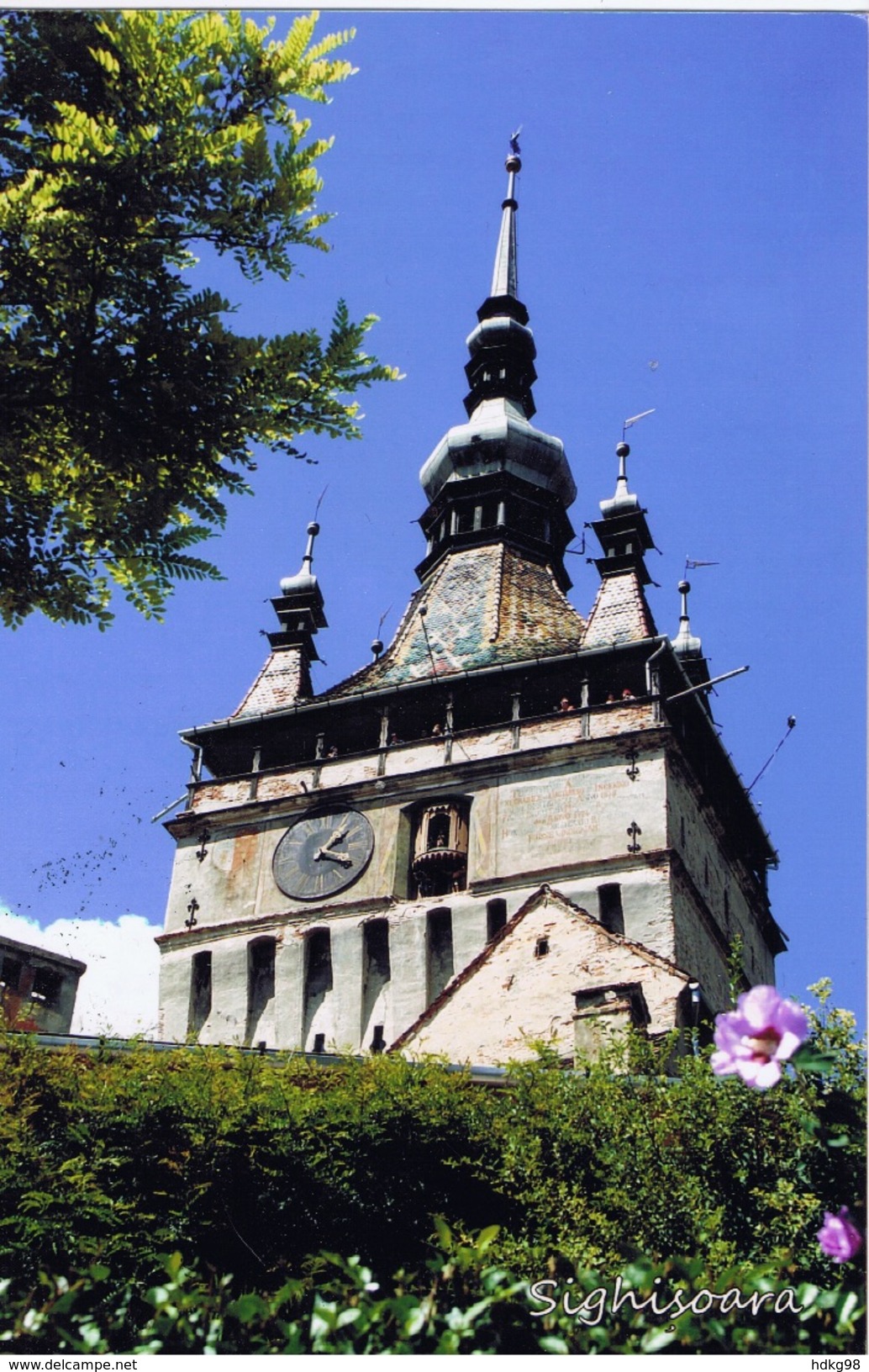 RO+ Rumänien 2013 Mi 6675 Sumpfdotterblume Auf PK Sighisoara - Storia Postale