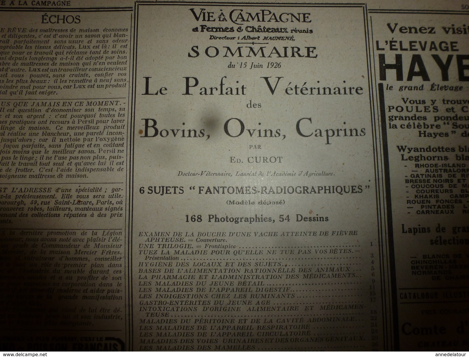 1926 VIE à la CAMPAGNE: N° Extraordinaire Spécial du parfait vétérinaire des ( BOVINS , OVINS , CAPRINS )