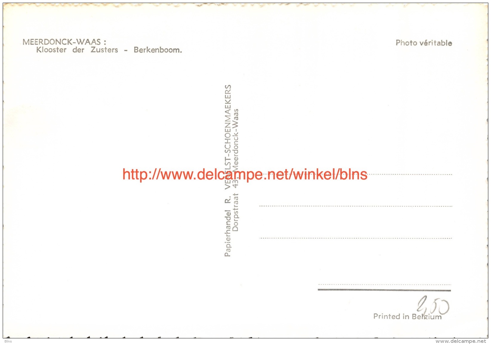 Klooster Der Zusters - Berkenboom - Meerdonk - Sint-Gillis-Waas