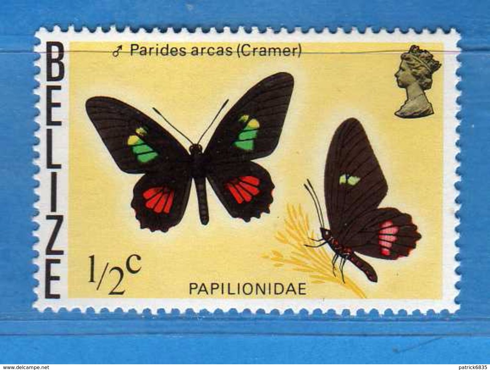 BELIZE- 1974-1975 ** - FARFALLE- Yvert. 335. MNH - NUOVI.  Vedi Descrizione - Belize (1973-...)