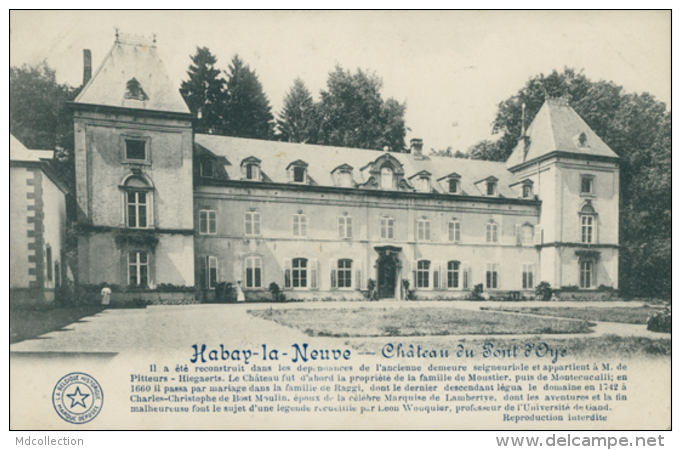 BE HABAY LA NEUVE  / Château Du Pont D'Oye / - Habay