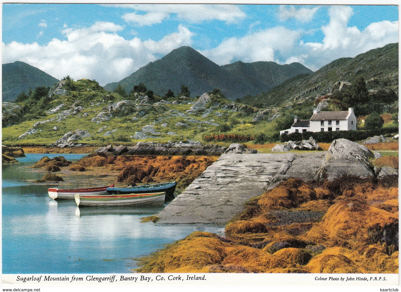 Sugarloaf Mountain From Glengariff, Bantry Bay, Co. Cork - (John Hinde Original) -  (Ireland) - Cork