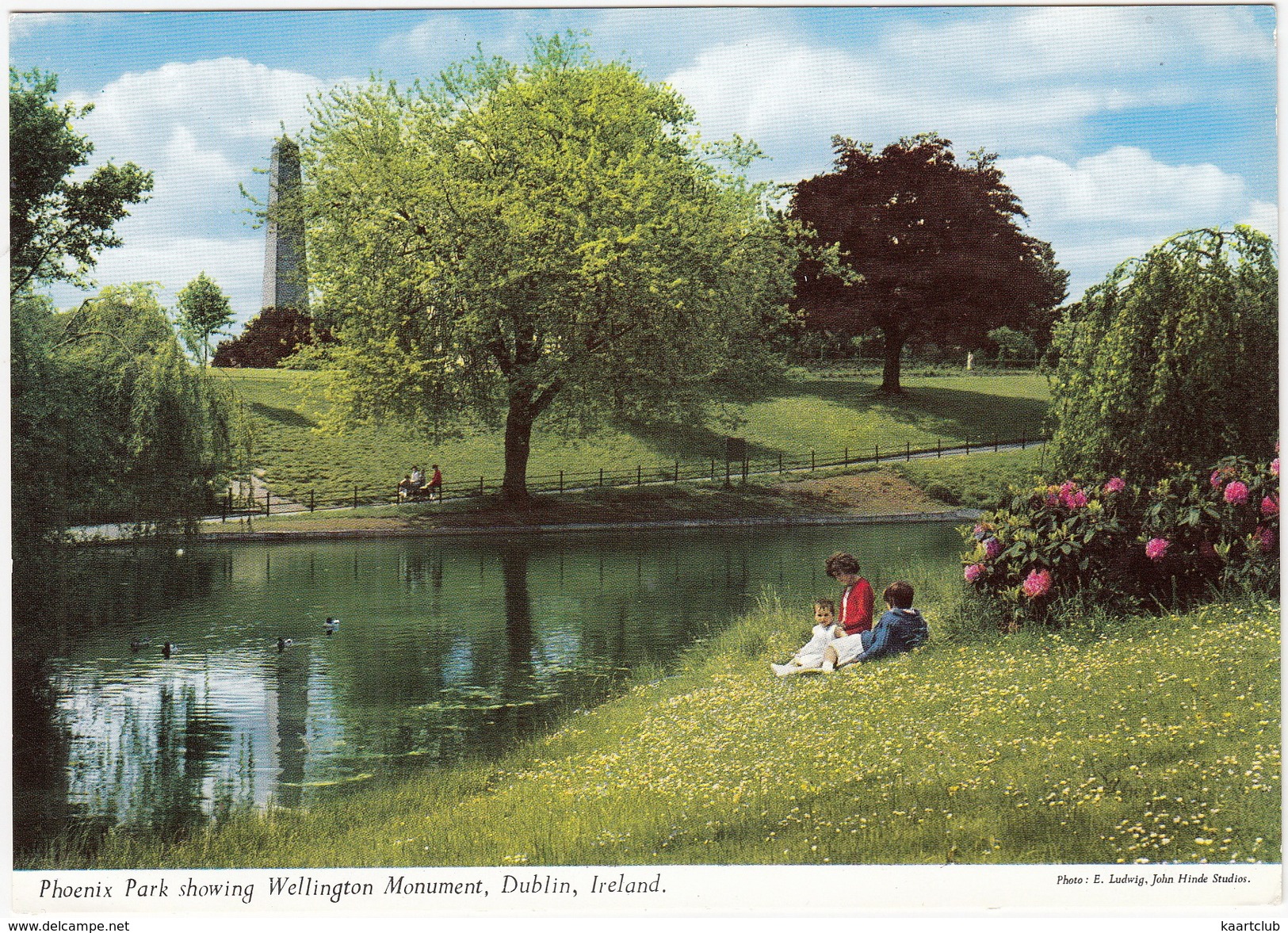 Phoenix Park Showing Wellington Monument, Dublin - (John Hinde Original) -  (Ireland) - Dublin