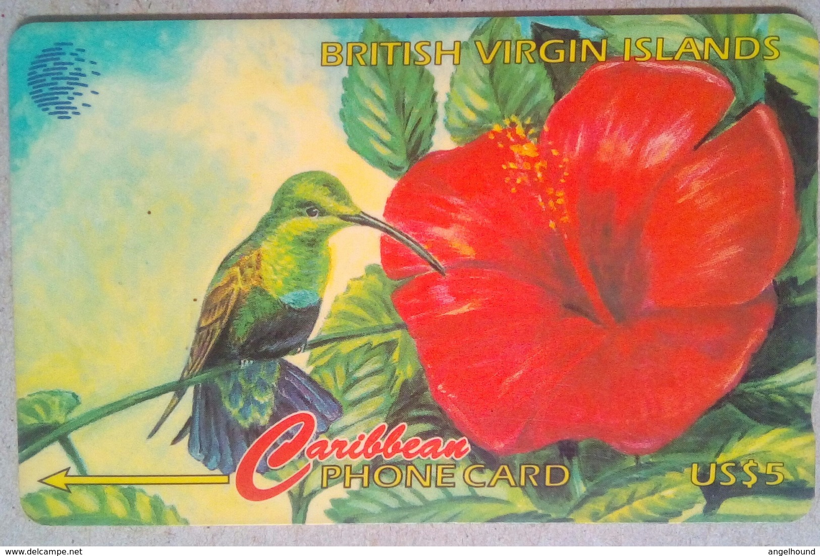 Hummingbird 91CBVA English Rev No Slash Cn - Virgin Islands