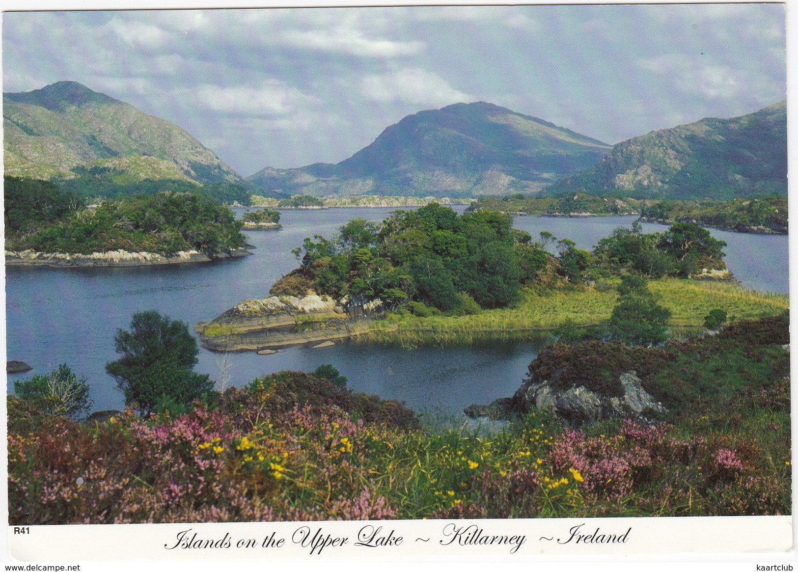 Islands On The Upper Lake - Killarney - (Ireland) - Kerry