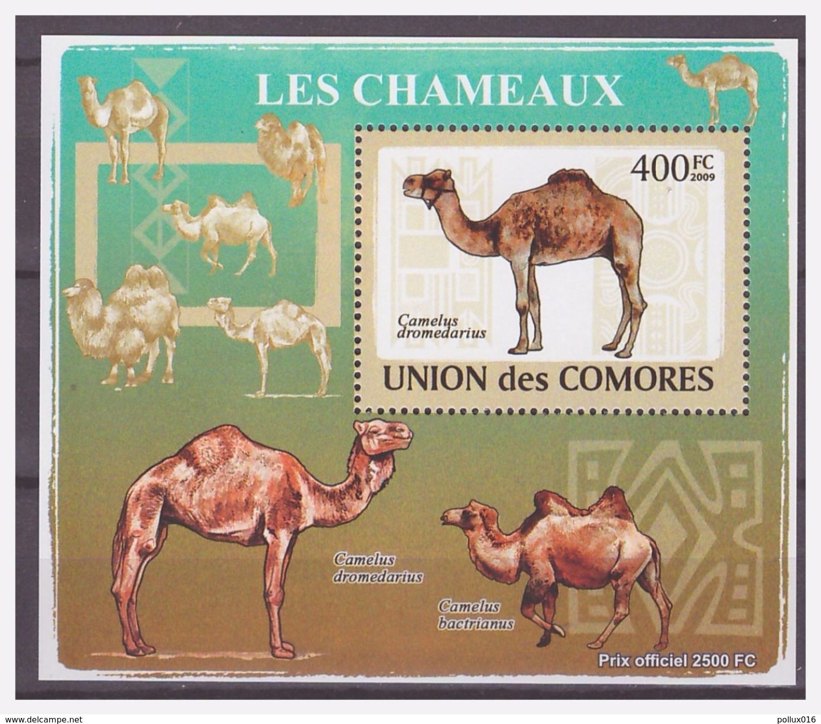 284 Comores 2009 Kameel Camel Chameaux S/S MNH - Autres & Non Classés