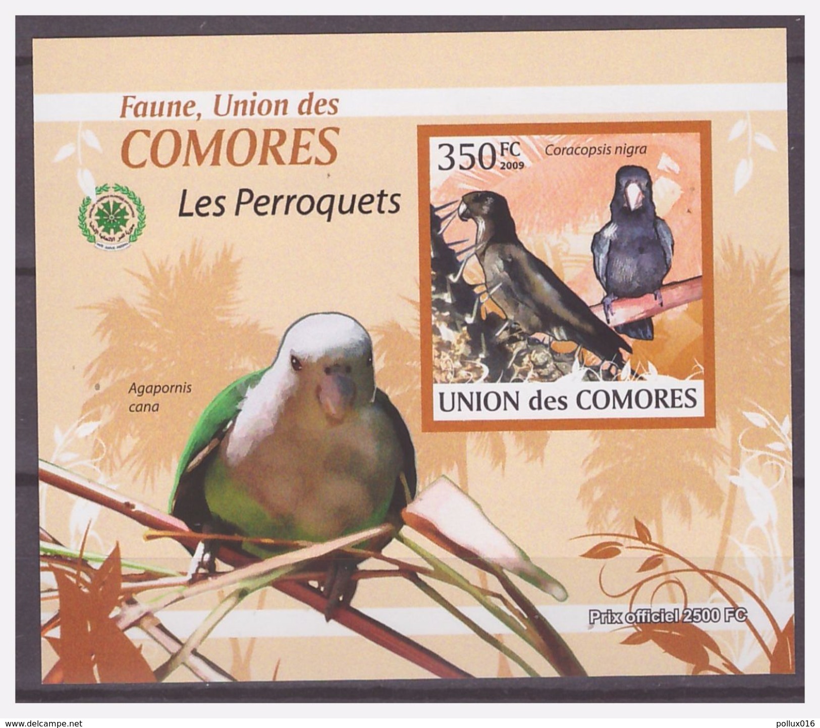 0287 Comores 2009 Papegaai Parrot Perroquet S/S MNH Imperf - Parrots