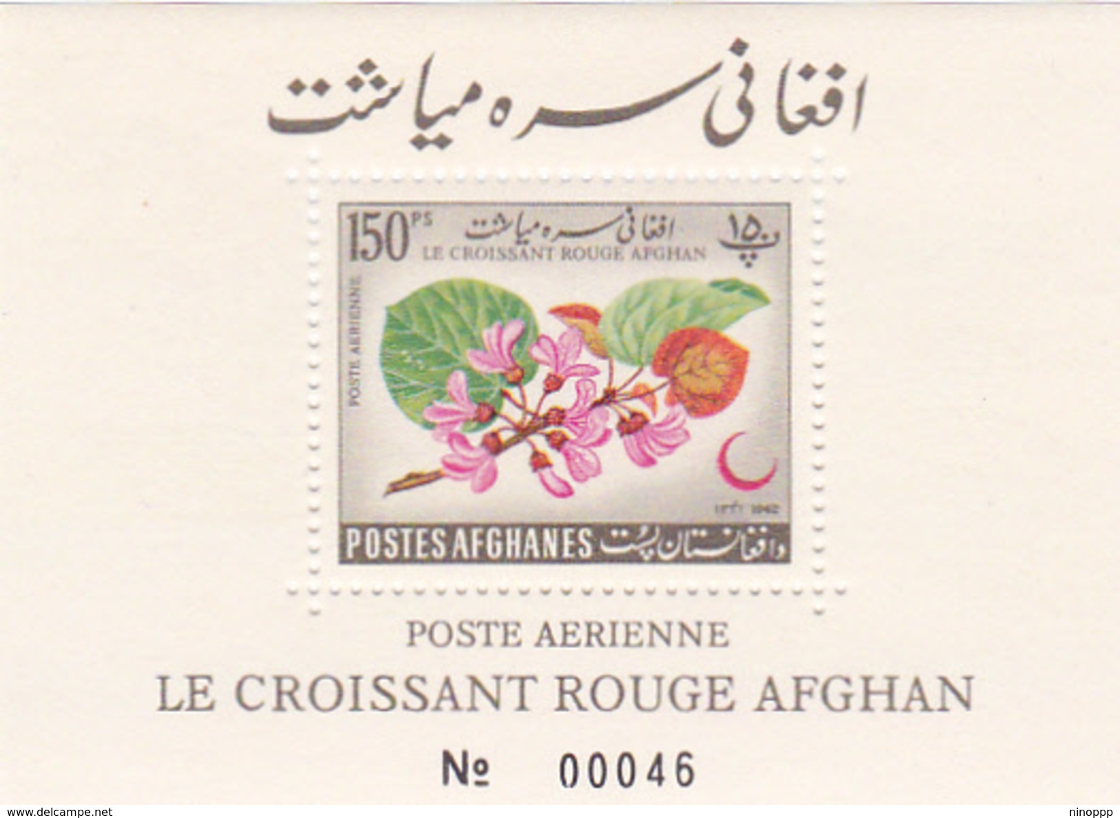 Afghanistan,Yvert BF 34 1962 Red Cross Souvenir Sheet MNH - Afghanistan