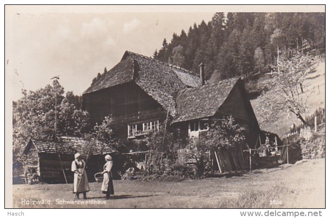 2869317Holzwald, Schwarzwaldhaus - Bad Rippoldsau - Schapbach