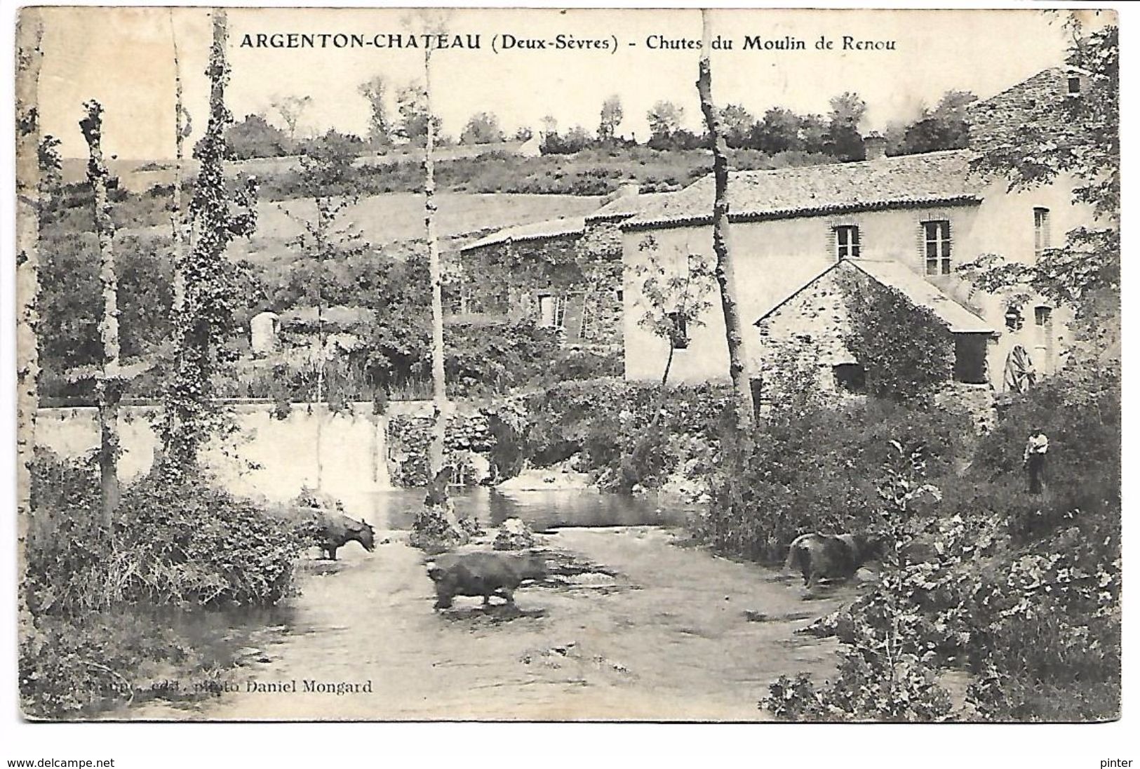 ARGENTON CHATEAU - Chutes Du Moulin De Renou - Argenton Chateau