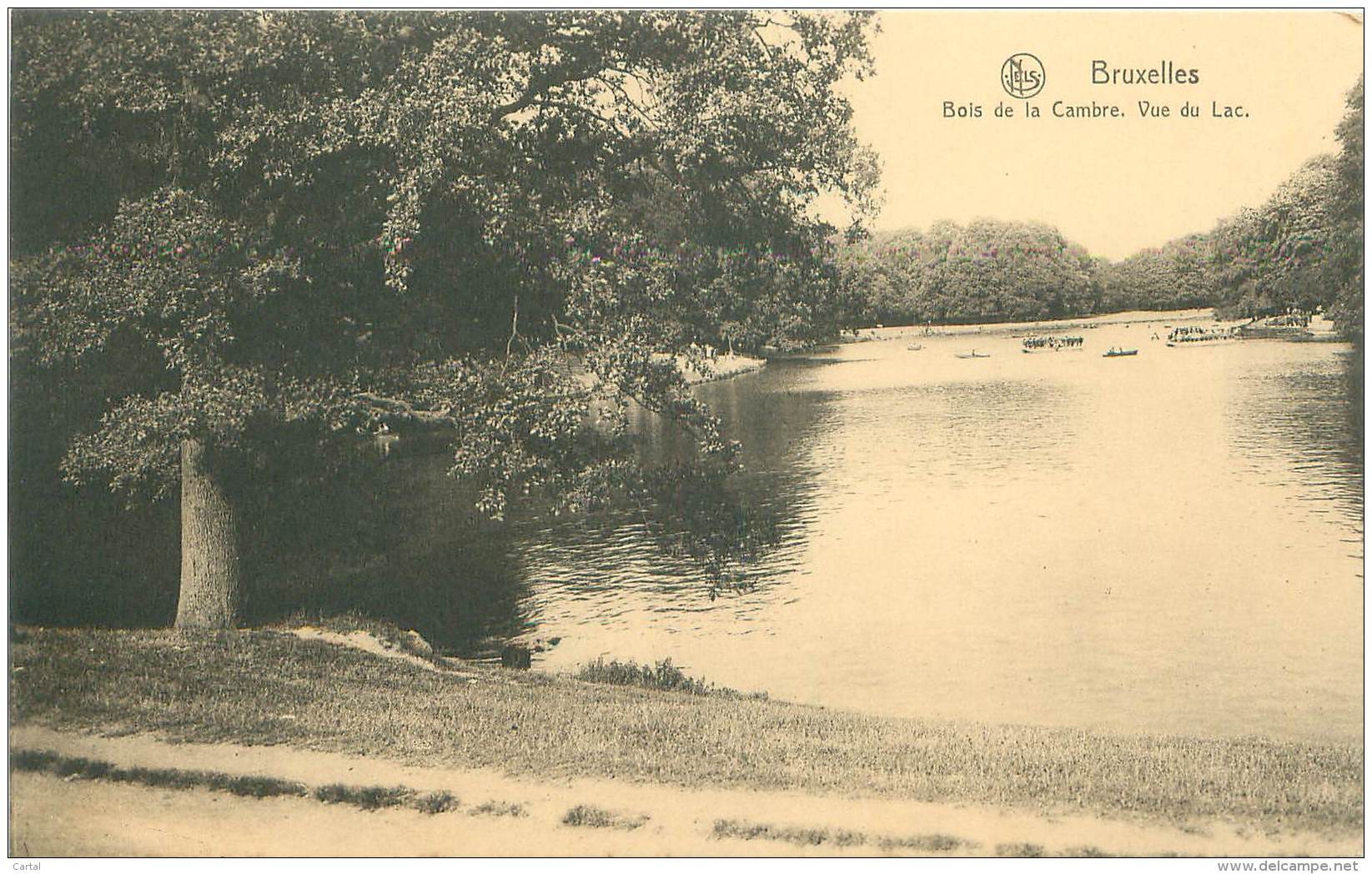 BRUXELLES - Bois De La Cambre.  Vue Du Lac - Bossen, Parken, Tuinen