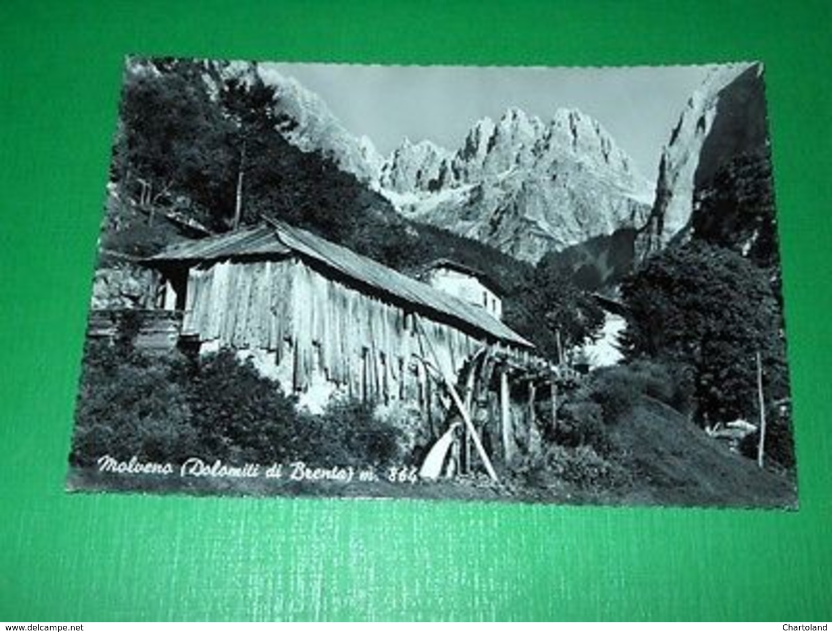 Cartolina Molveno ( Dolomiti Di Brenta ) - Particolare 1955 - Trento