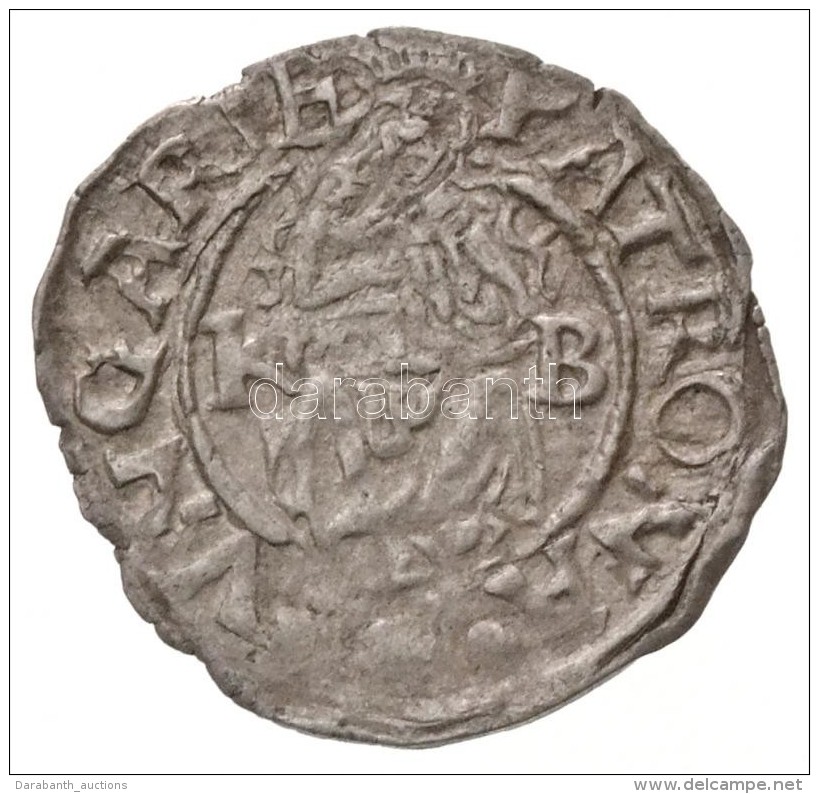 1572K-B Den&aacute;r Ag 'Miksa' (0,54g) T:2,2- 
Hungary 1572K-B Denar Ag 'Maximilian' (0,54g)... - Unclassified