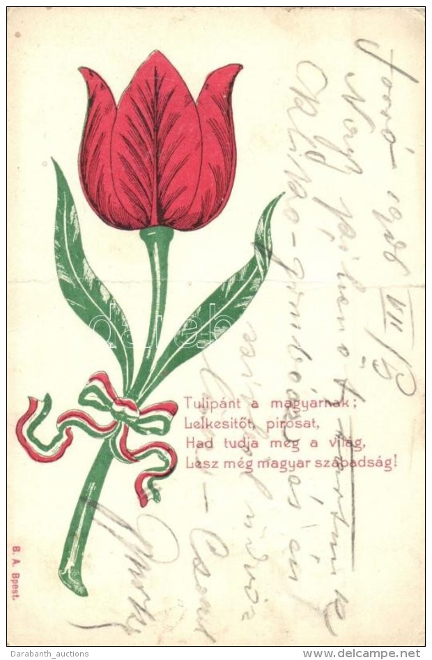 T4 Tulip&aacute;nt A Magyarnak... / Hungarian Patriotic Propaganda Card (fa) - Sin Clasificación