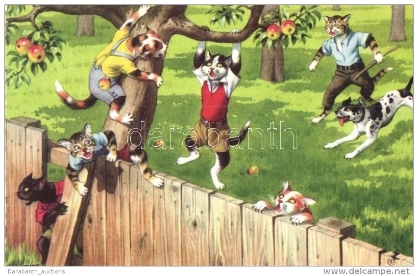 T2/T3 Apple Thief Cats. Colorprint B. Special 2258/3. (EK) - Unclassified