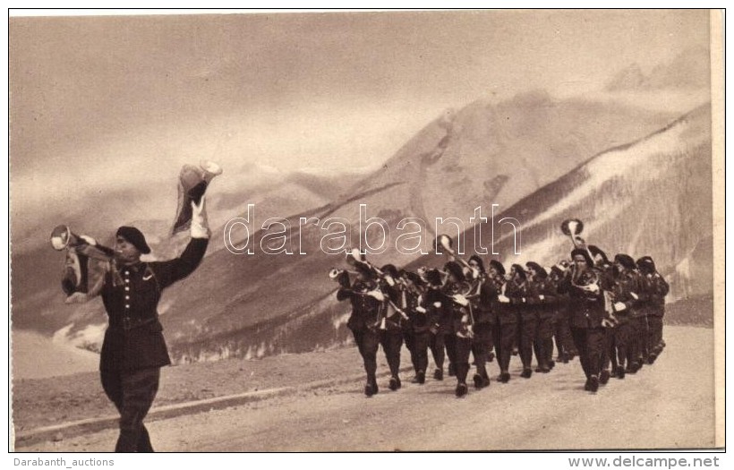 ** T2 'Fanfare De Chasseurs Alpins' / Marching Band Of The Alpine Hunters, French Military - Sin Clasificación