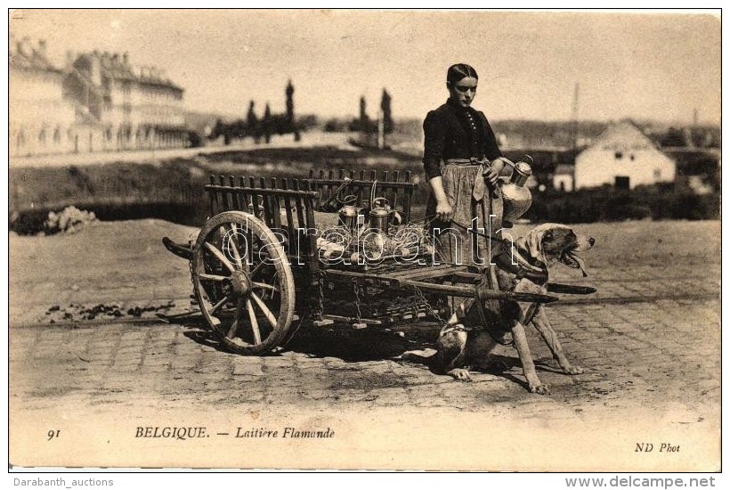 ** T2 Flemish Dairy, Brussels, Folklore, Dog Cart - Unclassified