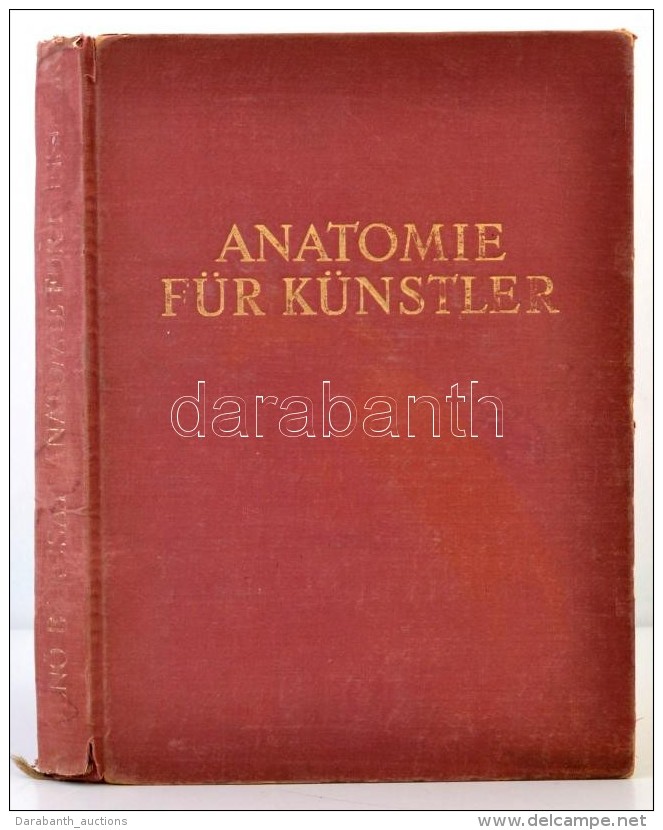 Barcsay JenÅ‘: Anatomie F&uuml;r K&uuml;nstler. Bp., 1967, Corvina. Kiad&oacute;i... - Unclassified