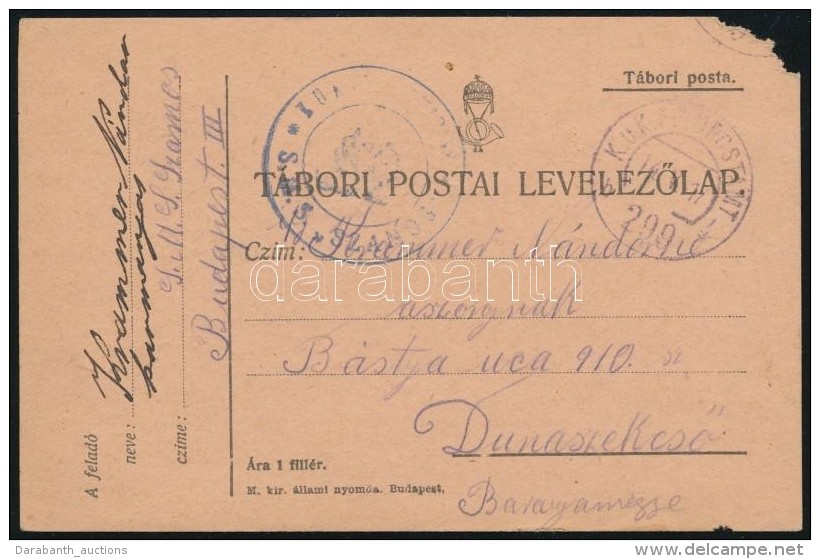 1917 T&aacute;bori Posta LevelezÅ‘lap / Field Postcard 'FP 299' + K&eacute;k / Blue 'S.M.S. SZAMOS' Dunai Flotta... - Altri & Non Classificati