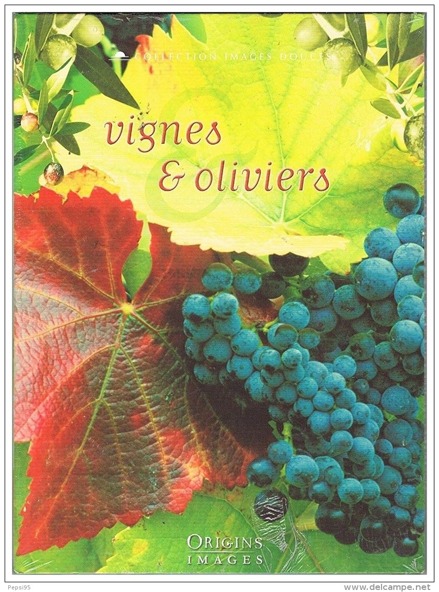 Vignes Et Oliviers [DVD] (2003) Compilation - Autres & Non Classés