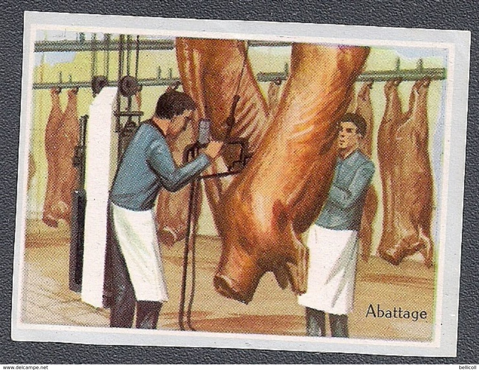 Abattage -  Abattoirs  - - Otros & Sin Clasificación