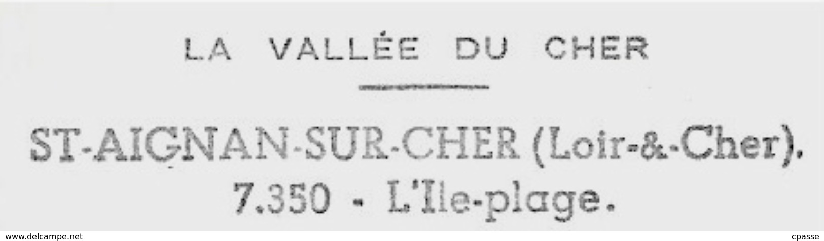 CPSM 41 St SAINT-AIGNAN-sur-CHER - L'ILE PLAGE ° Editions Valoire - Saint Aignan