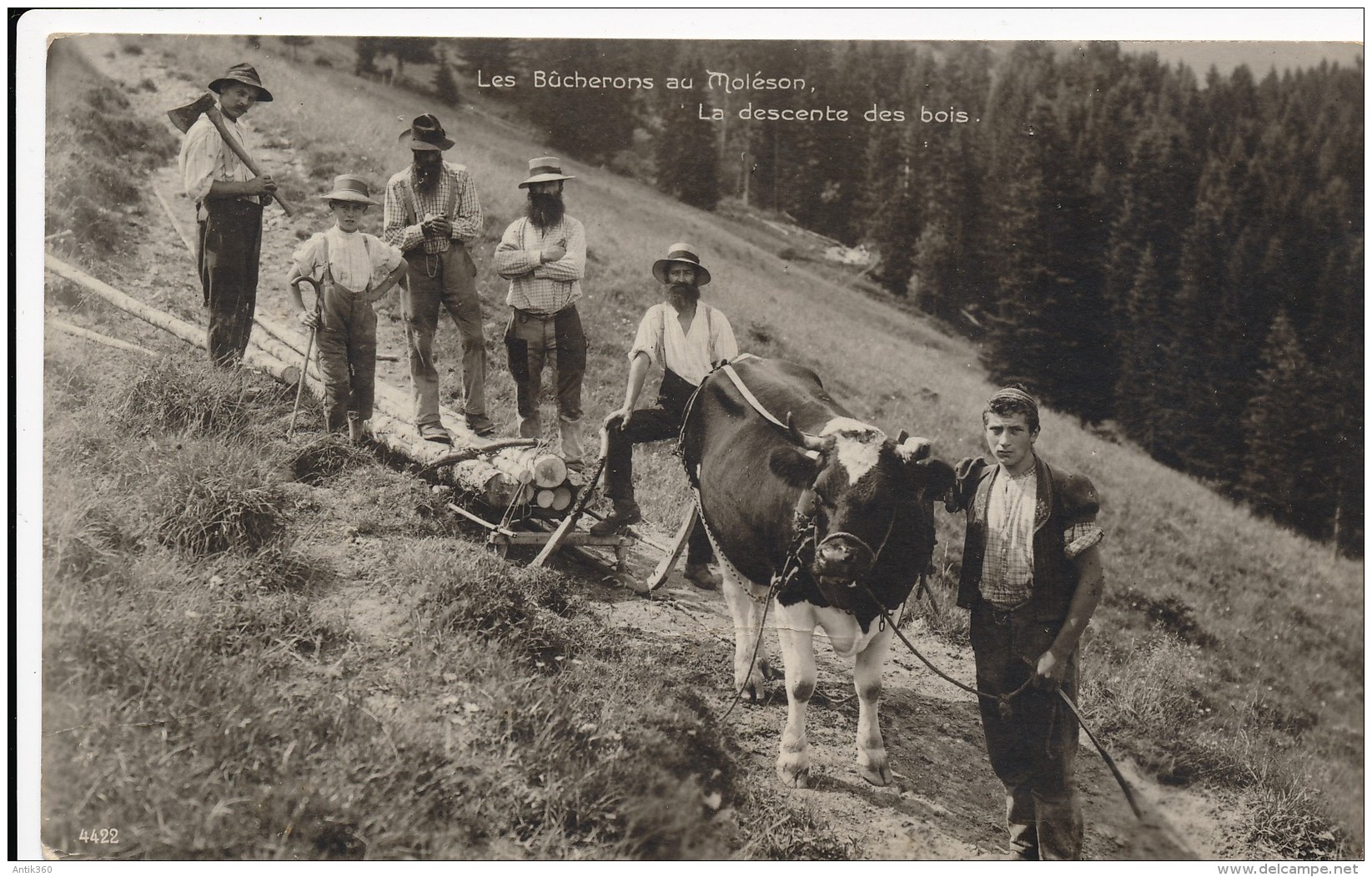 Très Rare CPA SUISSE Top CPA Les Bûcherons Au Moléson La Descente Des Bois - Autres & Non Classés