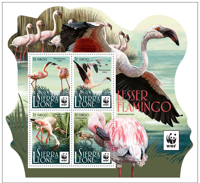 Z08 SRL17520a SIERRA LEONE 2017 WWF - Lesser Flamingo MNH ** Postfrisch - Sierra Leone (1961-...)