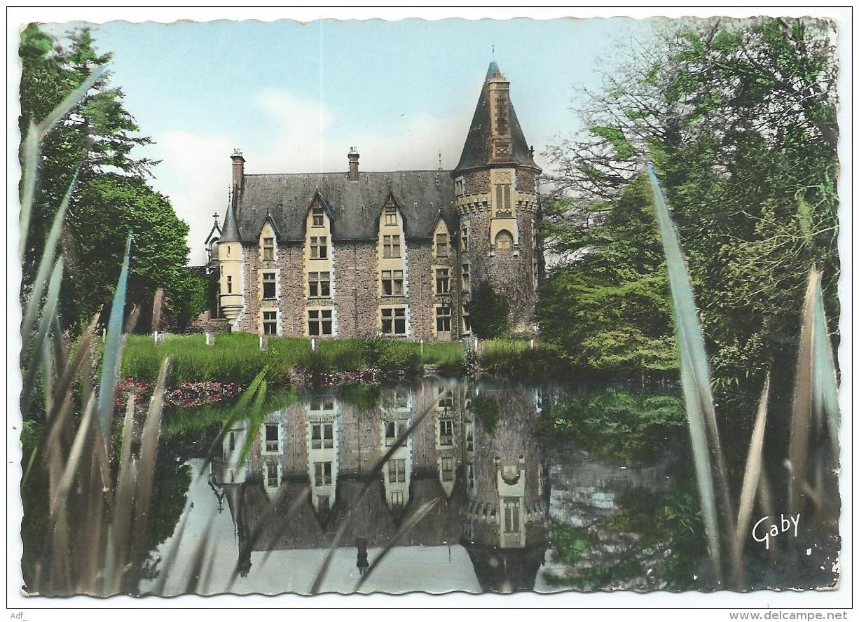 CPSM COLORISEE MAULEON, CHATEAU DU BOIS FICHET VU DE L'ETANG, DEUX SEVRES 79 - Mauleon