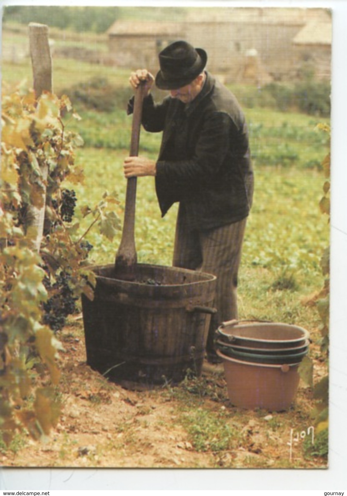 Gestes Et Paysages - Photo Gonterre (annonay N°10/00/7332 Yvon Toilée) La Vigne Vendange - Vignes