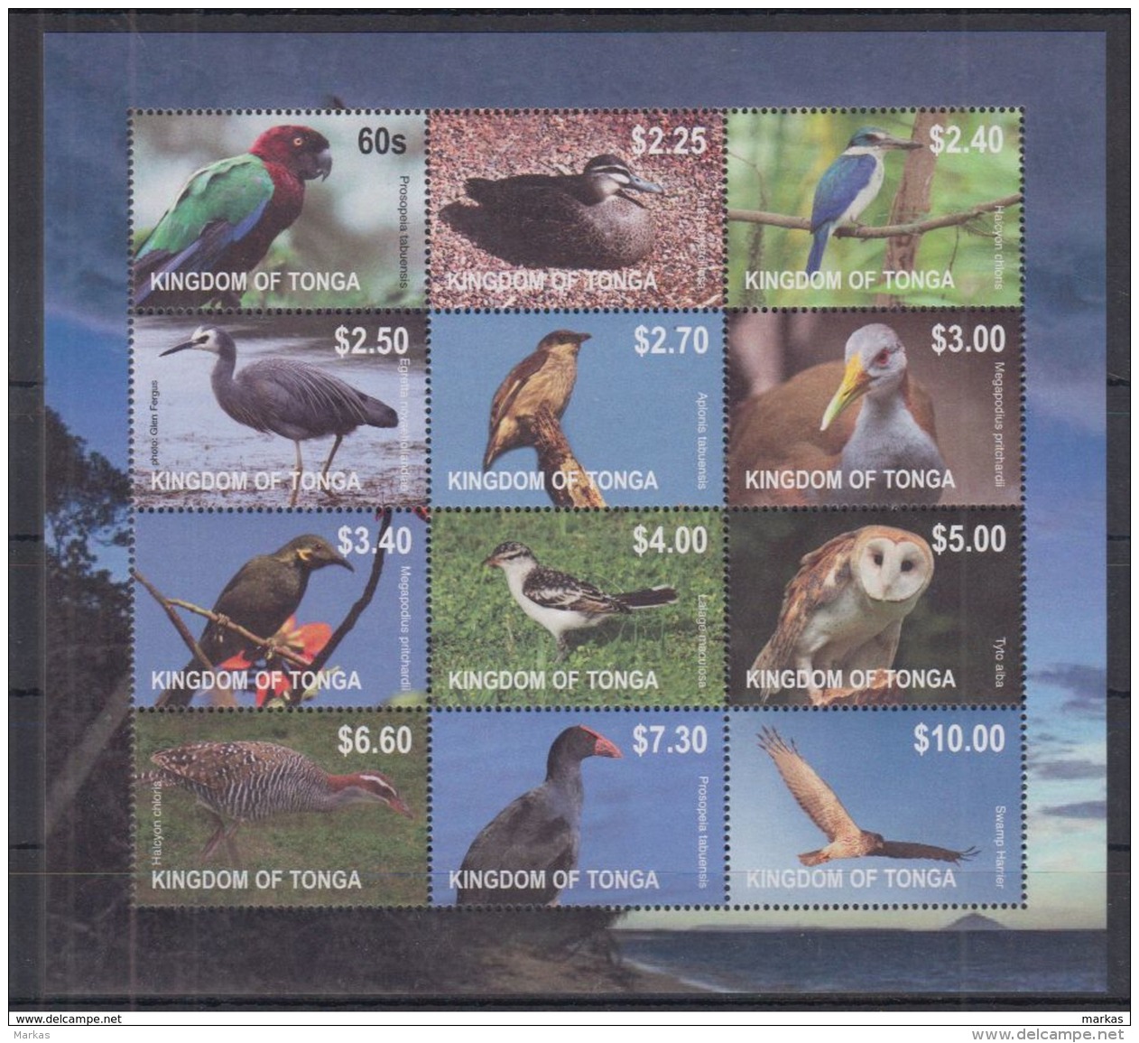 E46. Tonga - MNH - Animals - Birds - Autres & Non Classés