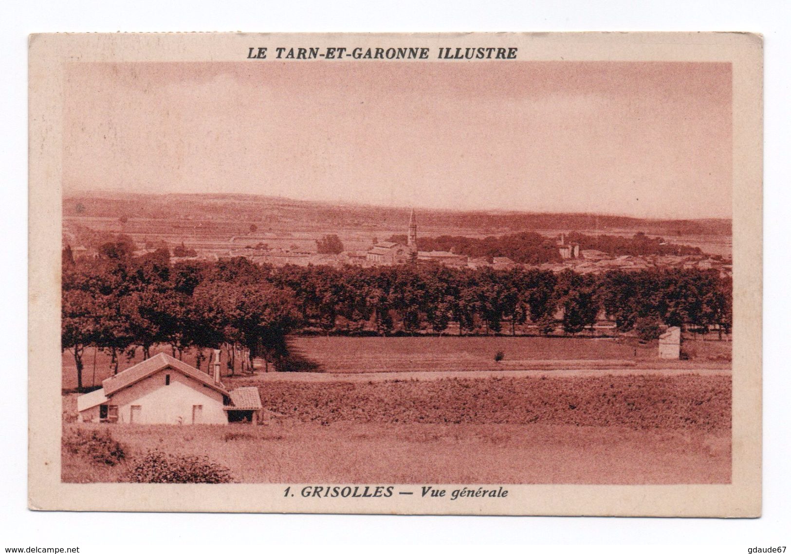 GRISOLLES (82) - VUE GENERALE - Grisolles