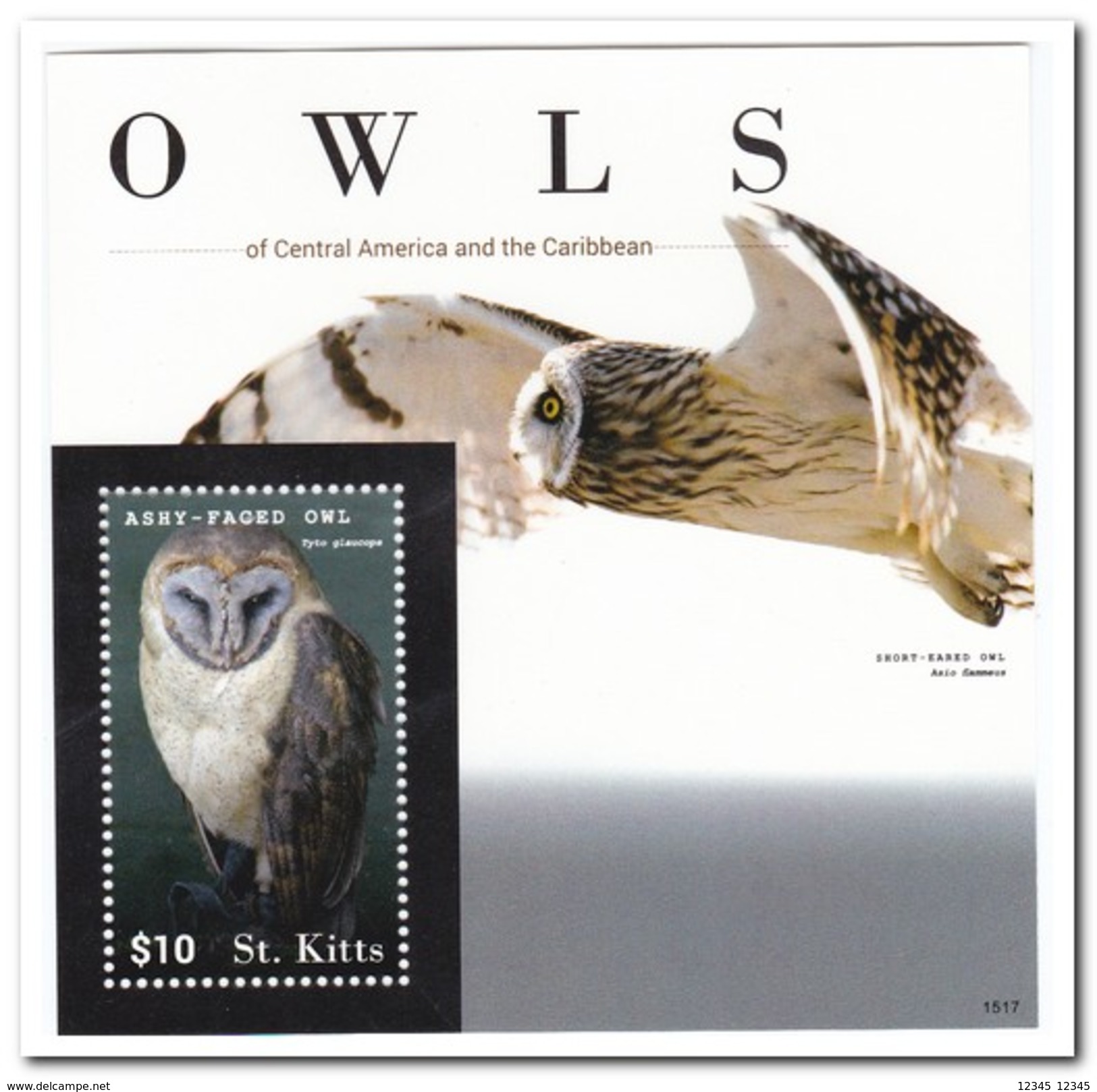 St. Kitts 2015, Postfris MNH, Owls - Noord-Macedonië