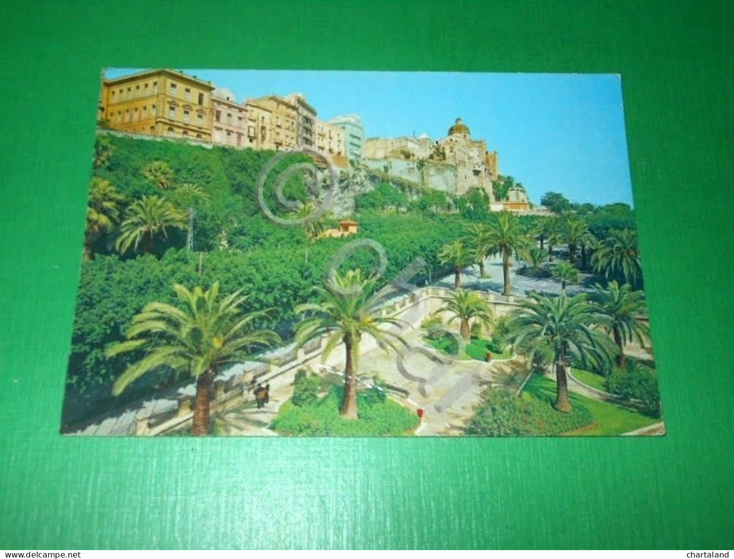 Cartolina Cagliari - Giardini Del Terrapieno 1981 - Cagliari