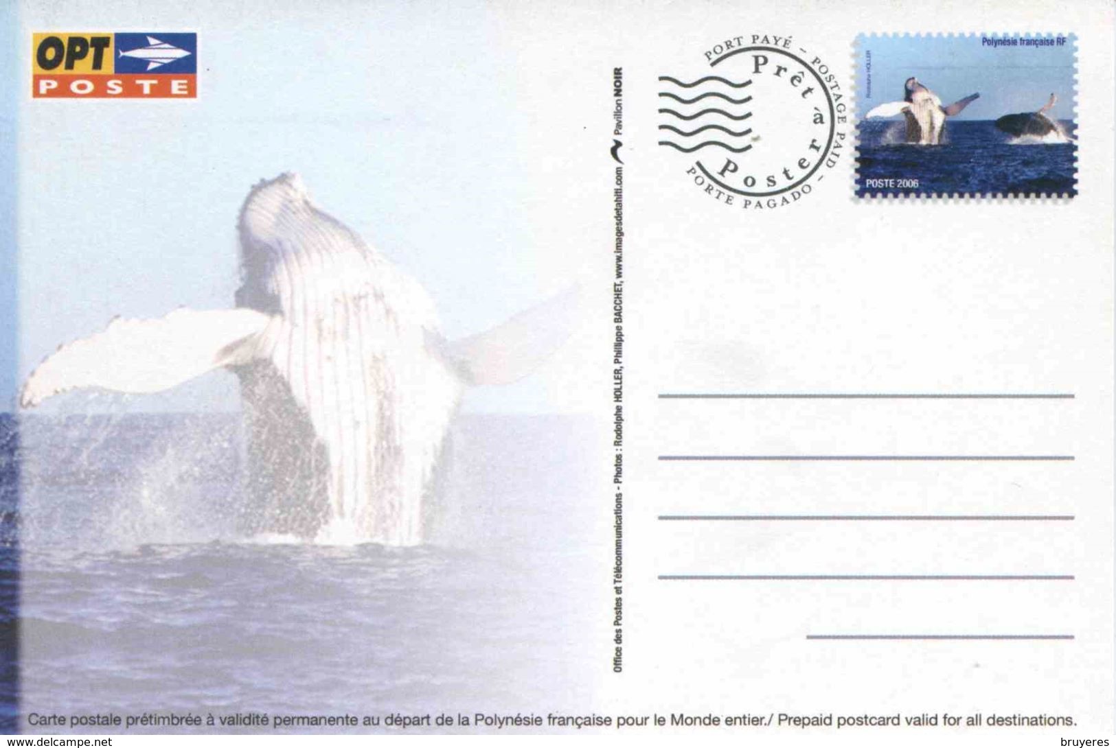 Entier Postal De 2006 Sur CP Avec Timbre "Baleine" Et Illust. "mer/océan" - Entiers Postaux